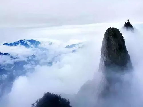 探访蚂蜂窝旅游攻略：揭秘老君山的神秘之旅，发现隐藏在山间的宝藏